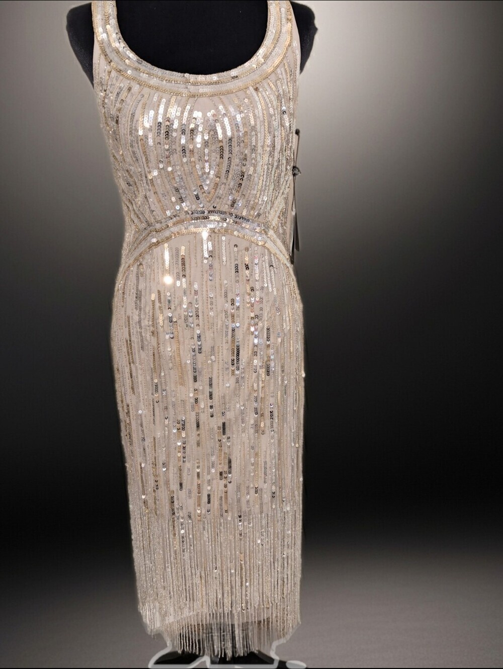 NWT Adrianna Papell Platinum Beaded Fringe Dress Size 2 Art Deco Gatsby